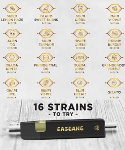 Gas Gang 1g HTFSE Vape Pens Specials